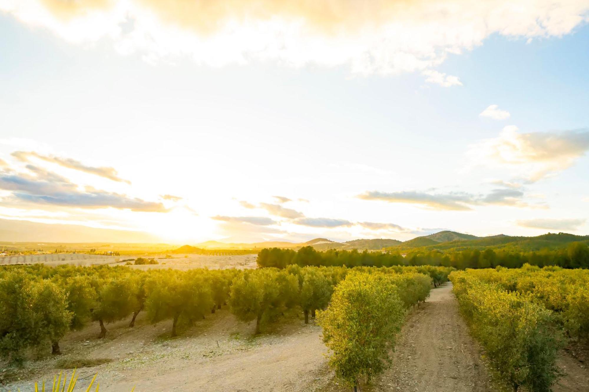 Finca El Espilo Lucar Eksteriør billede