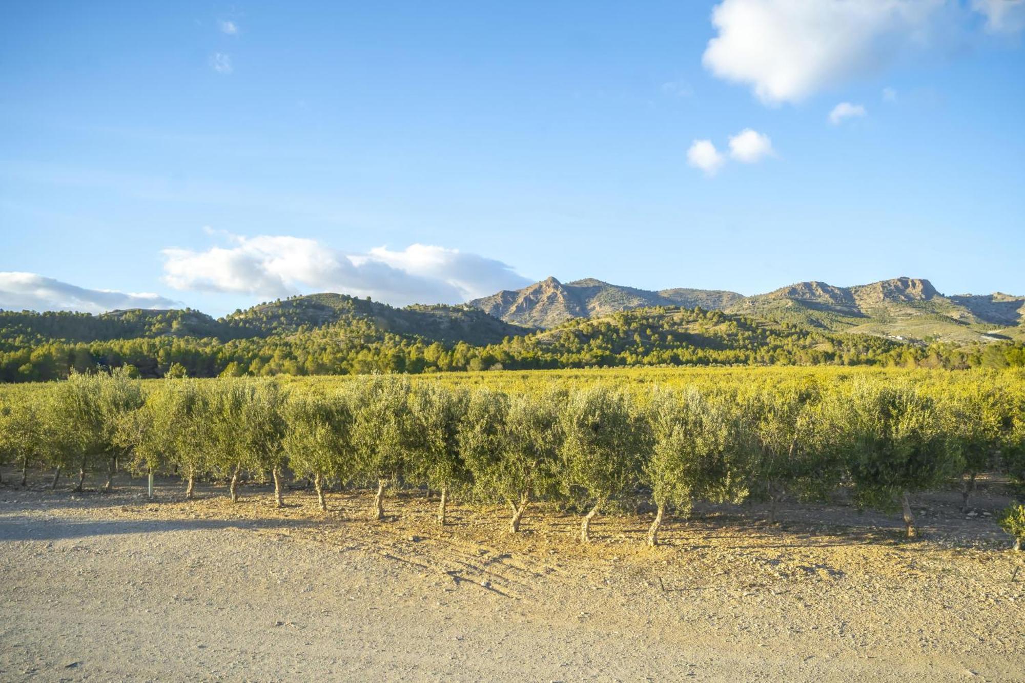 Finca El Espilo Lucar Eksteriør billede